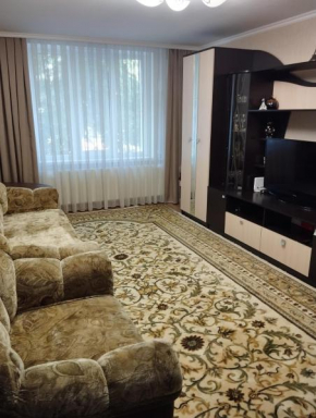 Comfortable apartment in the center of Ungheni
